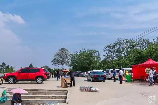 洛阳新安县樱桃采摘园,洛阳樱桃沟摘樱桃