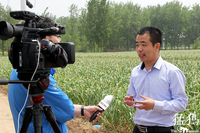 河南蒜农滞销紧急助农,大蒜20万吨订单