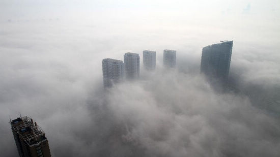 防霾最好的中医药,防霾食谱真相
