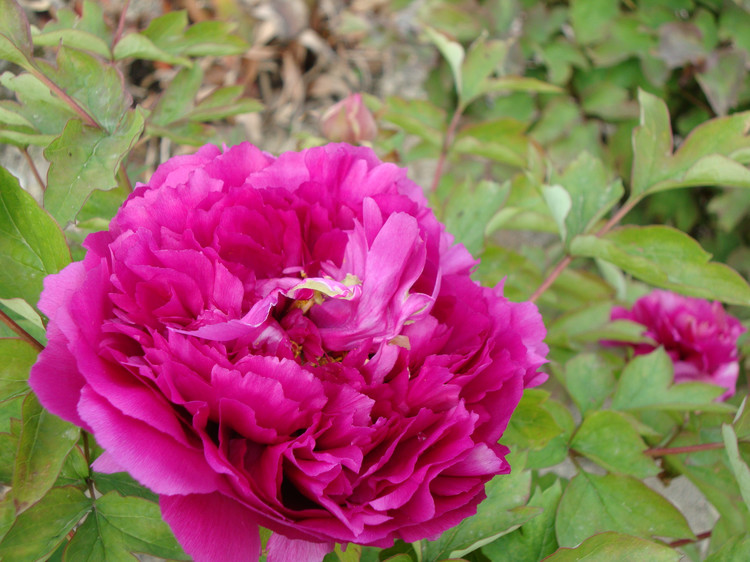 闽侯雪峰寺旅游路线图,福州雪峰寺周边景区介绍