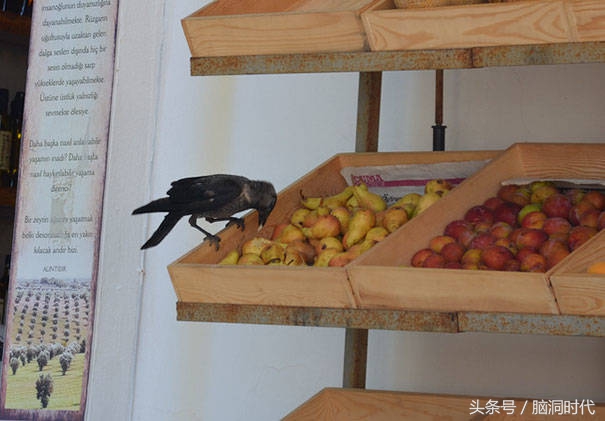 来！给鸦哥上支烟！