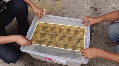 汽车工艺水转印,汽车技术运用与维修