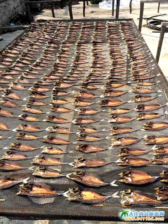 大连旅游攻略赶海和美食,大连旅游攻略必去的十大美食