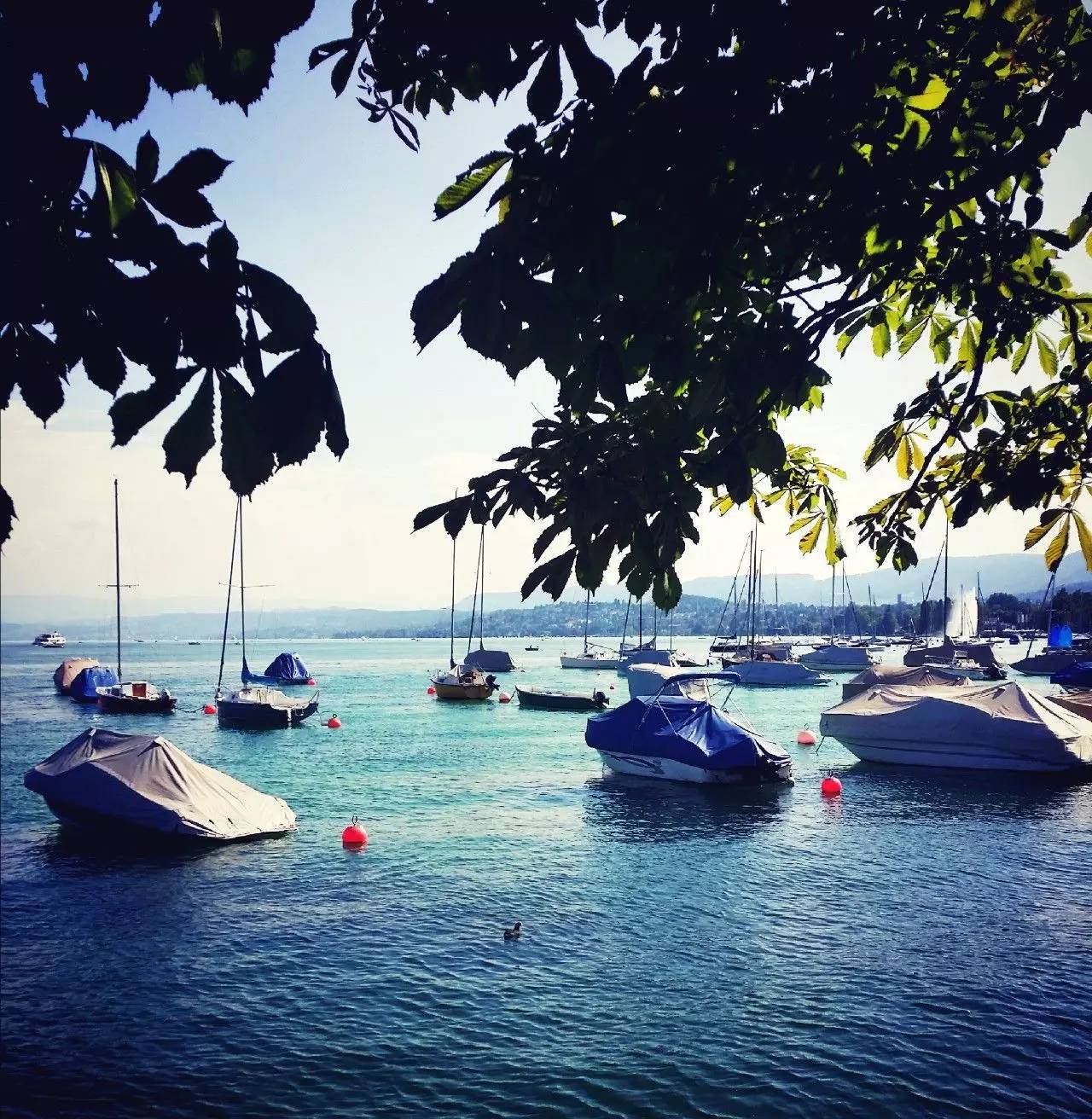 童心满满的歌曲,有一种幸福叫大手牵小手