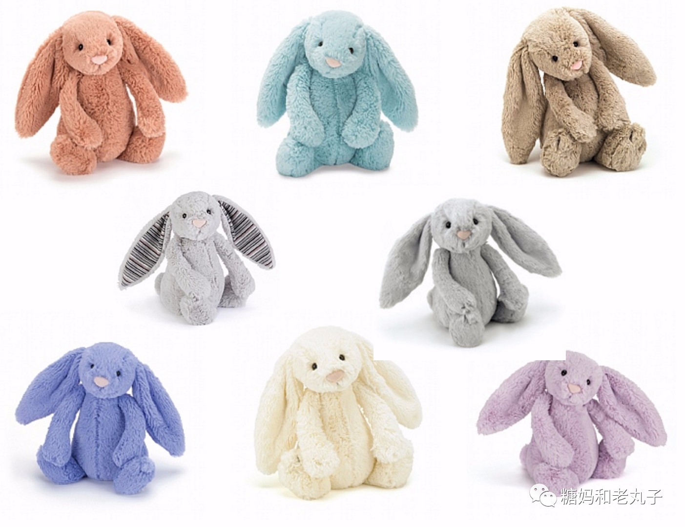 钱会花光人会散它萌不会离开你