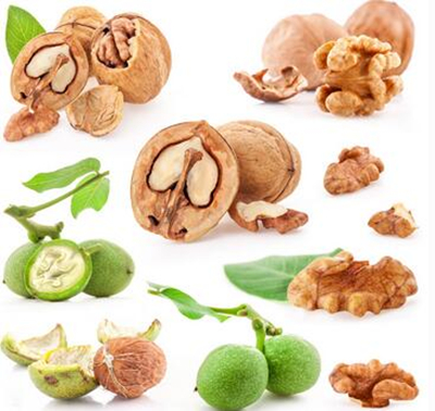 补脑还得吃点啥,补脑补身