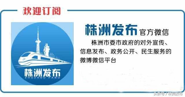 株洲二中足球队湖南省冠军,株洲校园足球2024湖南省锦标赛