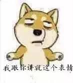 先洗澡还是先驱虫？为什么用了驱虫药还被虫咬？宠物医师给你答案