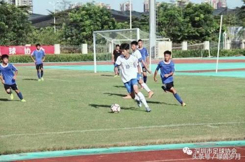 深圳队足球人员名单,广东深圳球员2023最新名单