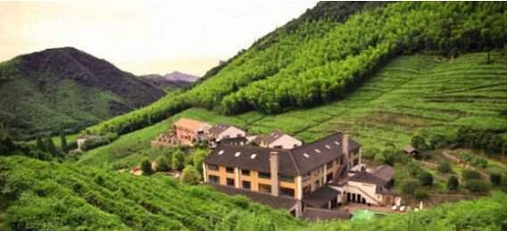 怎样在网上卖自家茶叶,想在抖音上卖茶叶怎么做