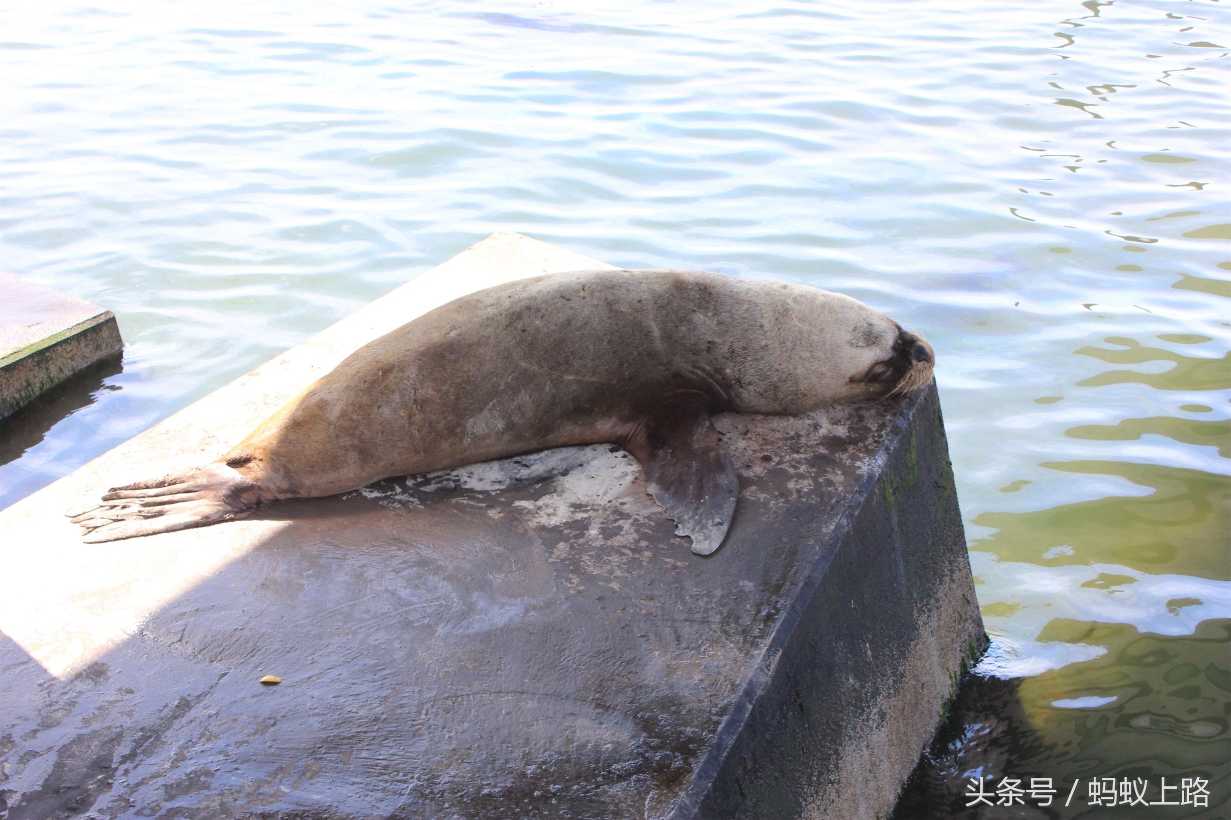 塔尔卡瓦诺智利军港图片,塔尔卡瓦诺城市
