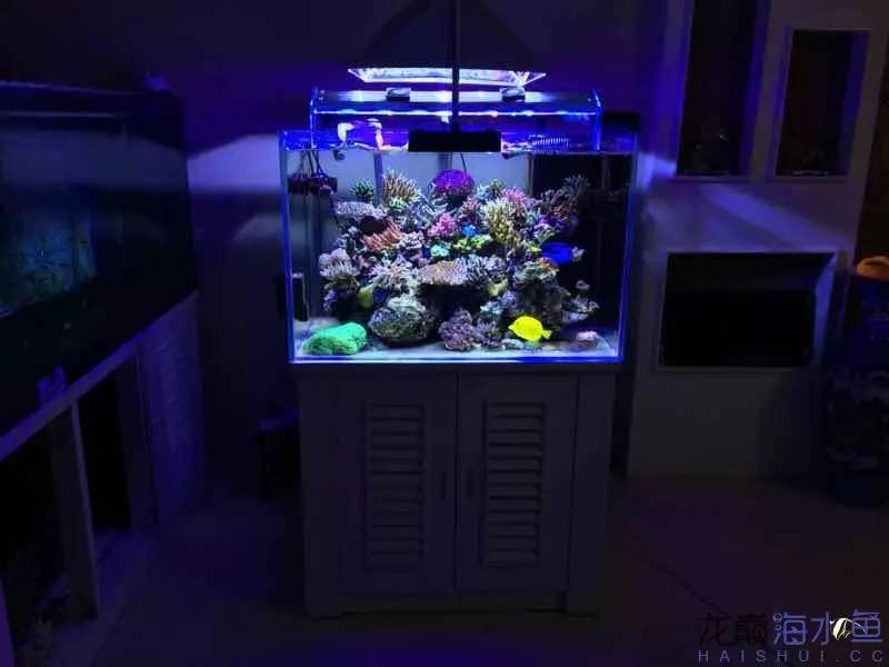 自来水+SPS+屌丝=？