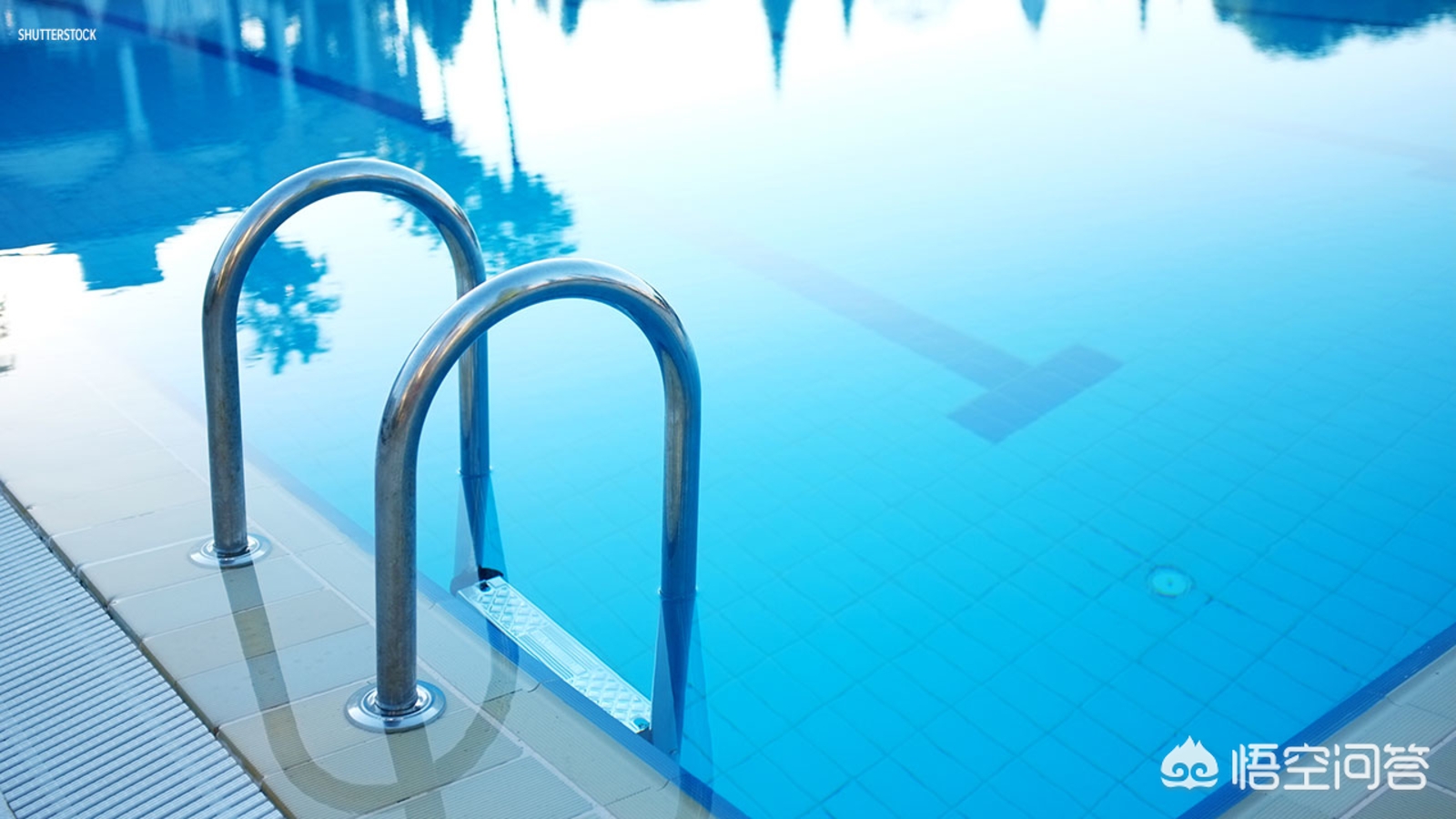 游泳池里有多少尿,游泳池里为什么会有尿液