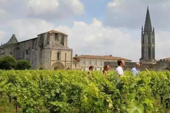 波尔多左岸五大顶级酒庄,波尔多左岸酒庄大全