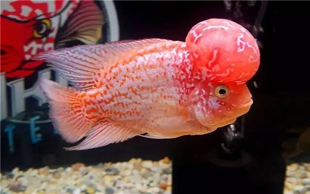 不能再惯着女生了,不能再惯着臭脾气