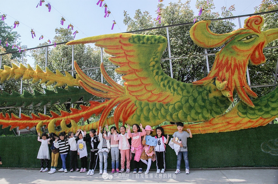 花园宝宝的萌宝,花园宝宝幼儿园里欢乐多