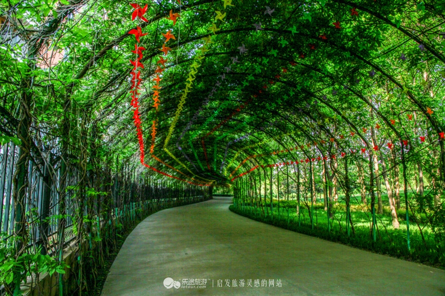 花园宝宝的萌宝,花园宝宝幼儿园里欢乐多