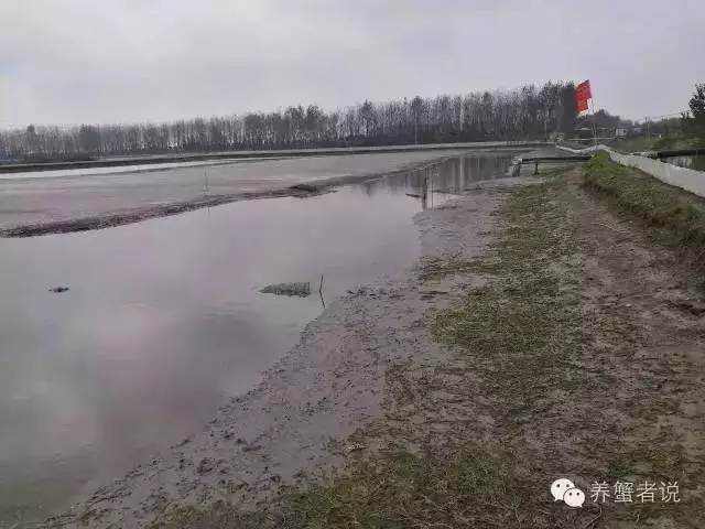 蟹的养殖方法和技巧,养殖后期怎样养出精品蟹