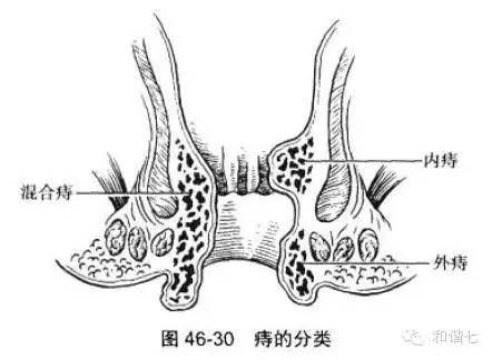 拿什么拯救你我的猪队友,拿什么拯救你我的中医
