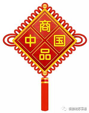 新加坡电商发展状况 (中国美国新加坡电商)