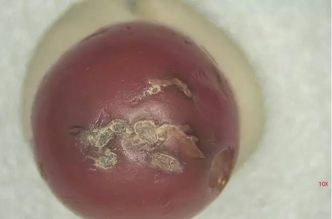 巫新华,峨边县巫新华