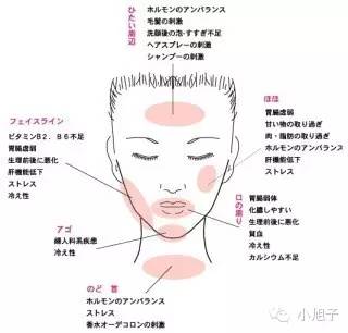 抗痘和细致毛孔,美肌抗痘大作战