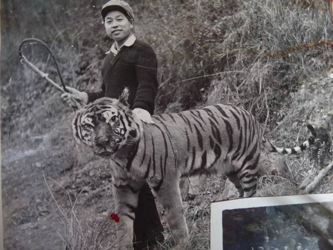 老聂的故事,老聂讲故事大全