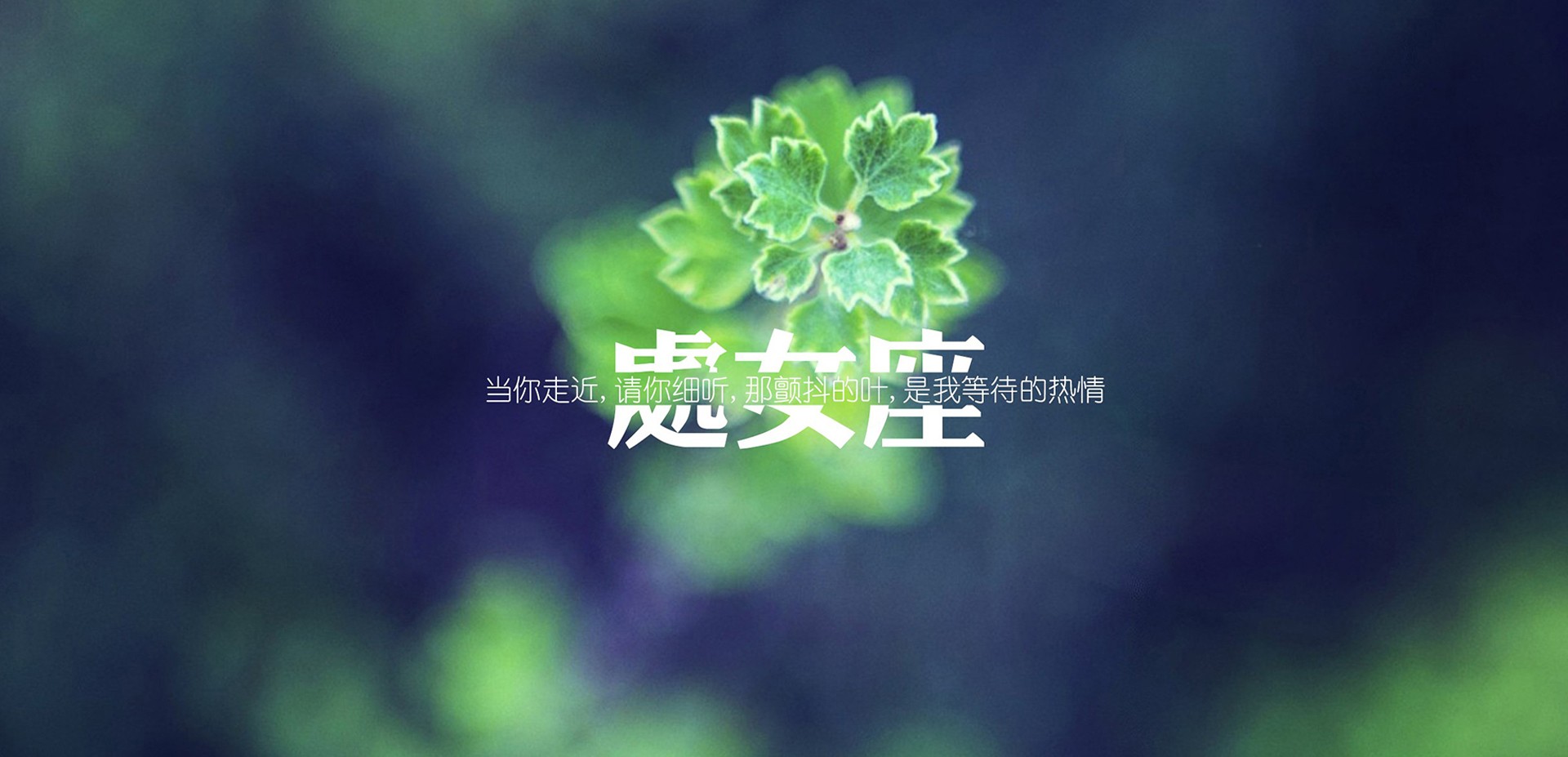 新年新香水,12星座的香囊颜色