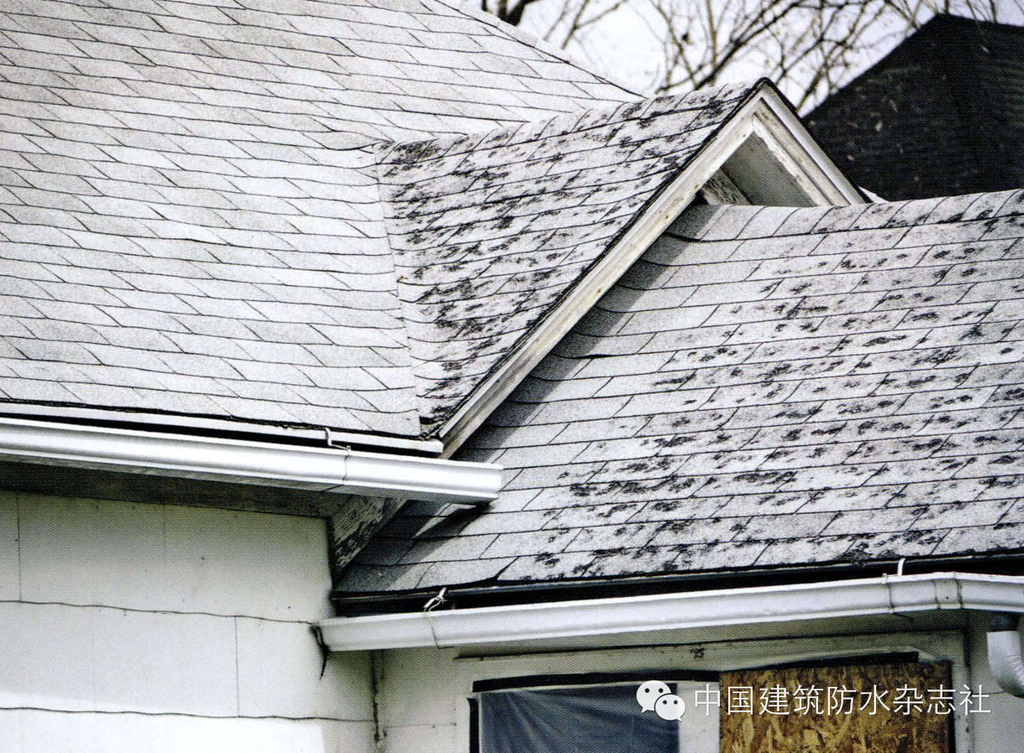 沥青瓦防台风吗,沥青瓦屋面改造