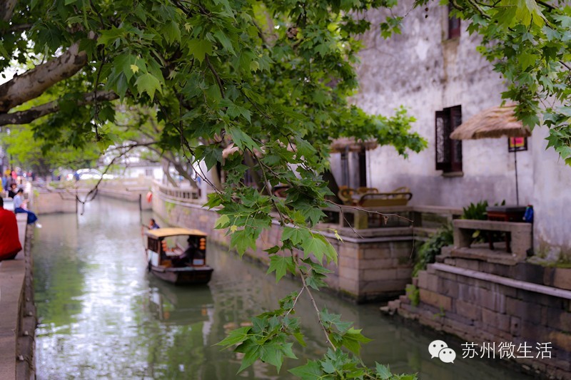 苏州最值得去的五个景点,苏州最值得去的10个景点排名