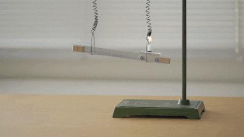 吃草能减肥的话,减肥从吃草开始