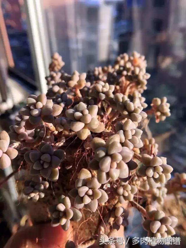 入坑半年的经历,入坑五个月总结