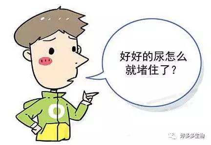 肾积水引发的尿漏怎么办,肾积水排尿困难吃什么药