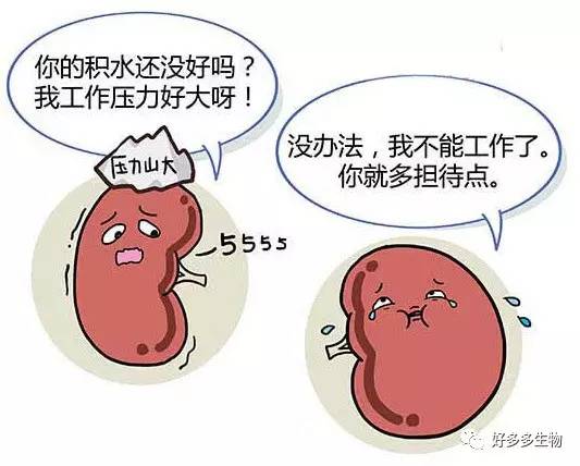 肾积水引发的尿漏怎么办,肾积水排尿困难吃什么药