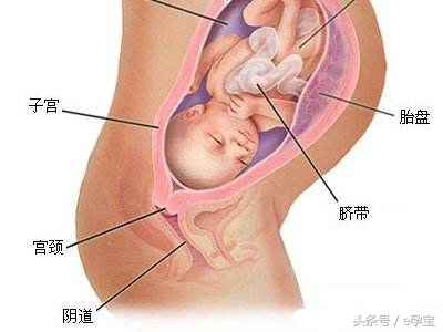 孕期排骨汤补钙是误区,孕期吃错了钙片会不会影响胎儿