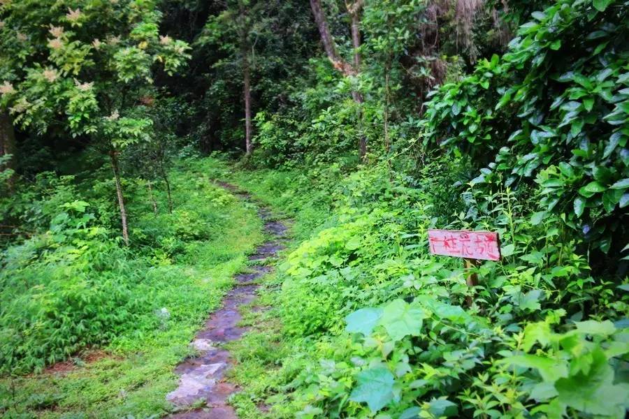 元宝山下,山水云间,悠悠闲云时光,恰好那时我也在