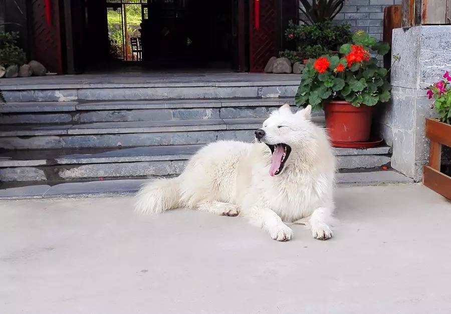 元宝山下,山水云间,悠悠闲云时光,恰好那时我也在