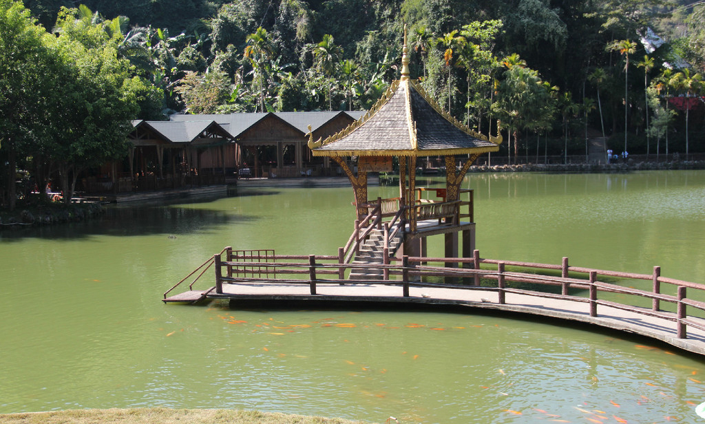 西双版纳绿色美景视频,云南西双版纳美景高清图片