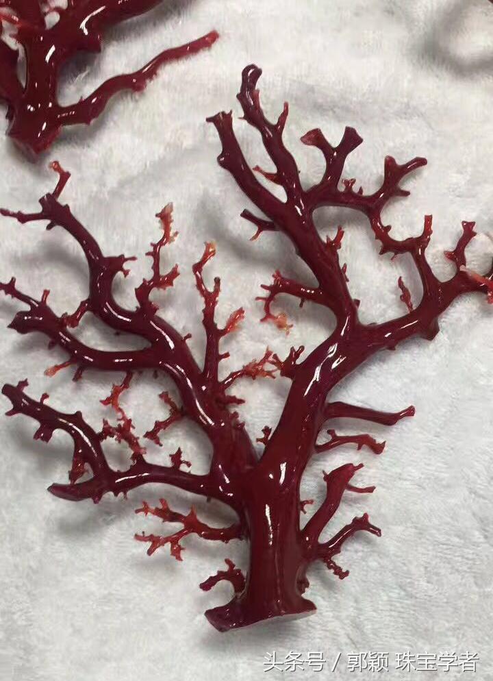 阿卡牛血红珊瑚自己戴可以吗,顶级阿卡牛血红珊瑚是哪个产地