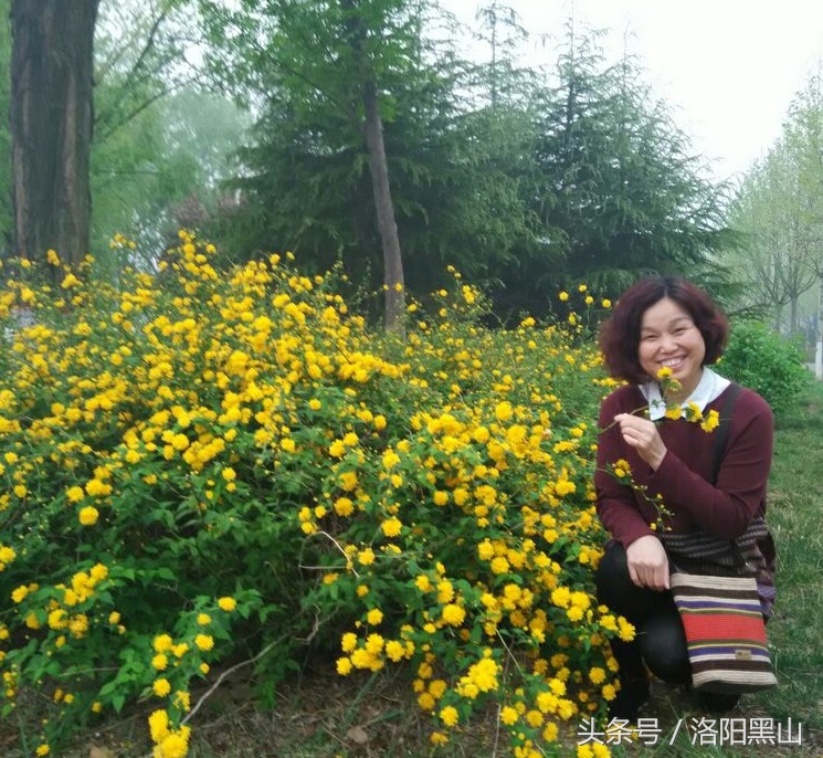 小女人的生活日记,如愿小女人日记