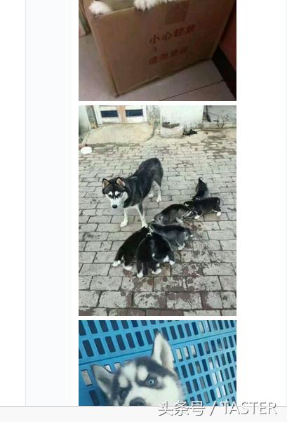 转发说说送小狗?集赞30送樱桃?又到夏天这群*子骗**又来了!