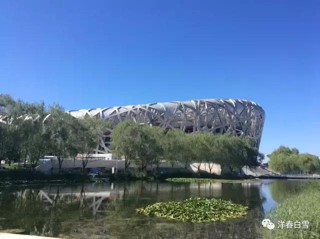 热爱足球但不会踢球,我不会踢球但我热爱足球