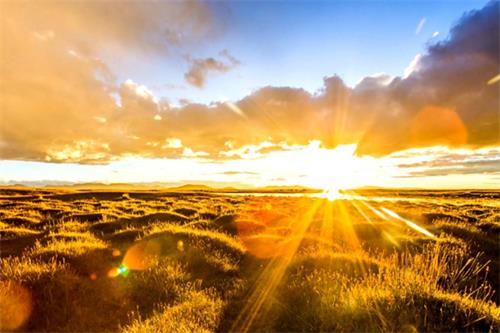 治腰间盘突出什么方法有效,治疗腰间盘突出最佳动作