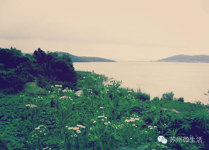 苏州最值得去的五个景点,苏州最值得去的10个景点排名