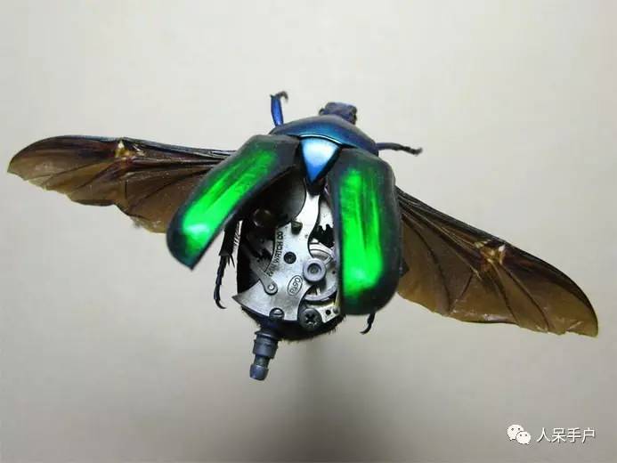 100人民币手工蝴蝶,昆虫大合集手工