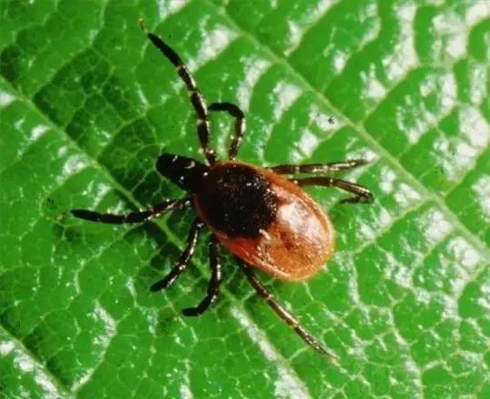 了解这些让胃癌离你远一点,了解这些可以让你少走弯路