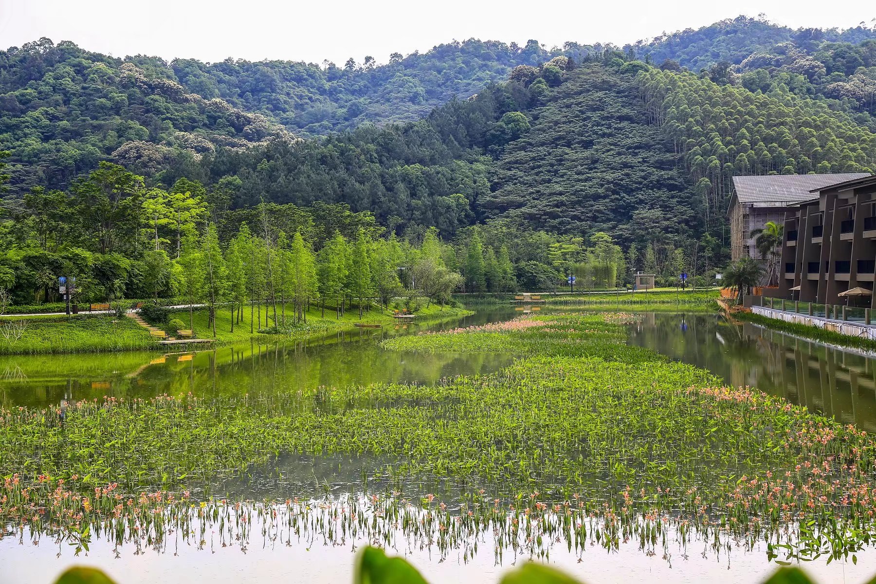 这样的旅游方式合适吗,分享一个周末休闲度假的好去处