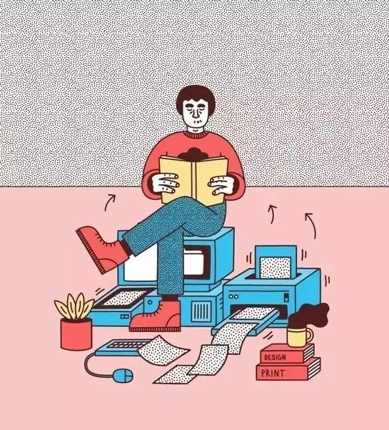 波斯猫初学者教学视频,波斯猫一般是怎么玩