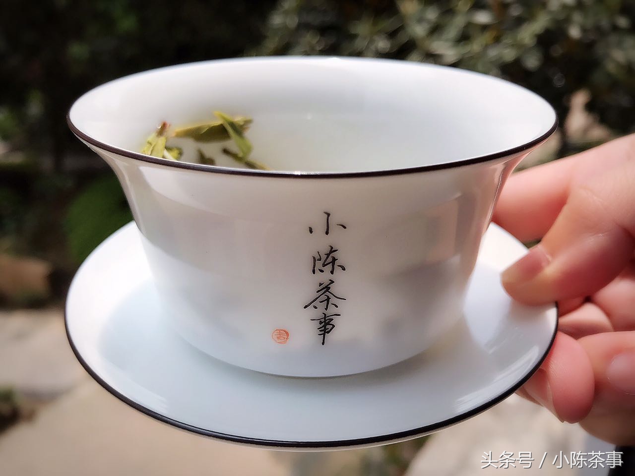 玻璃杯泡茶和陶瓷杯泡茶哪个好,白茶专用超薄玻璃杯