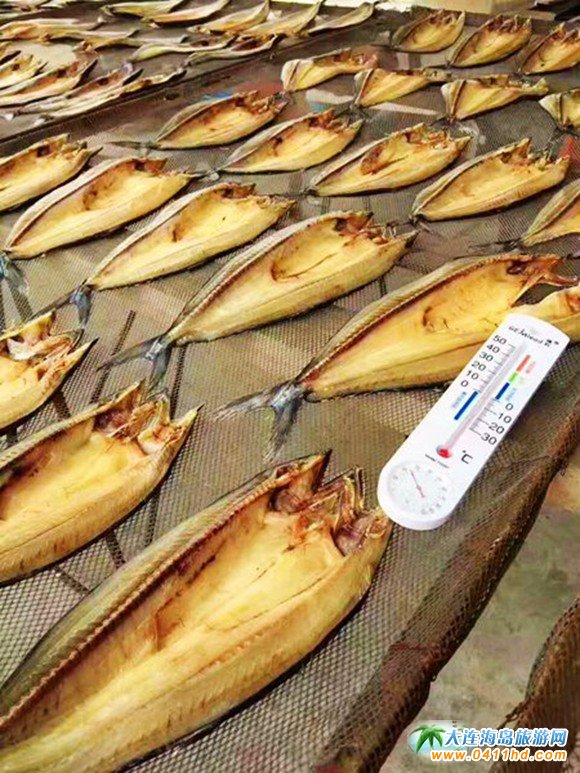 大连旅游攻略赶海和美食,大连旅游攻略必去的十大美食